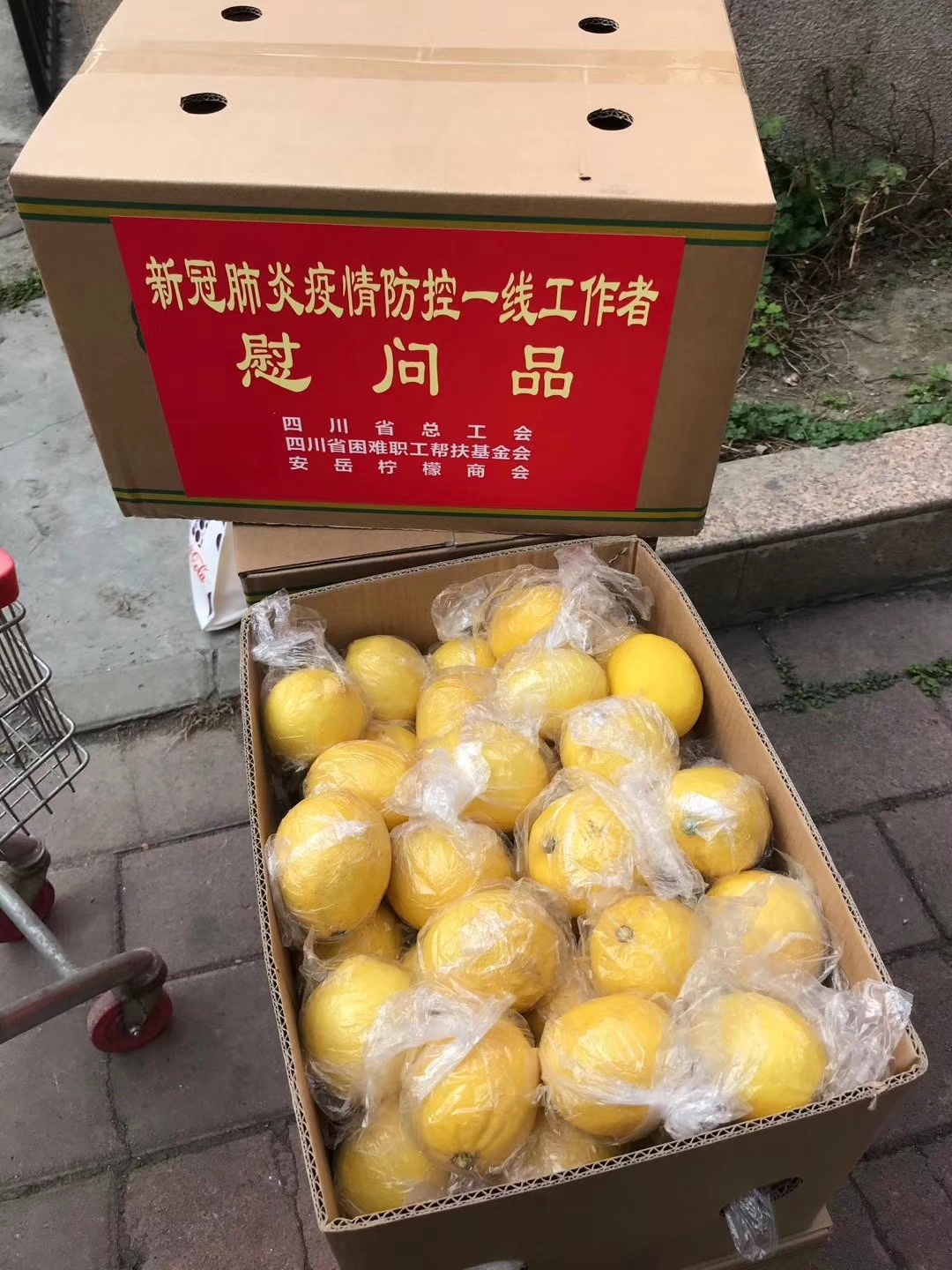 大批量水果空运怎么发？-四川成都机场货运站