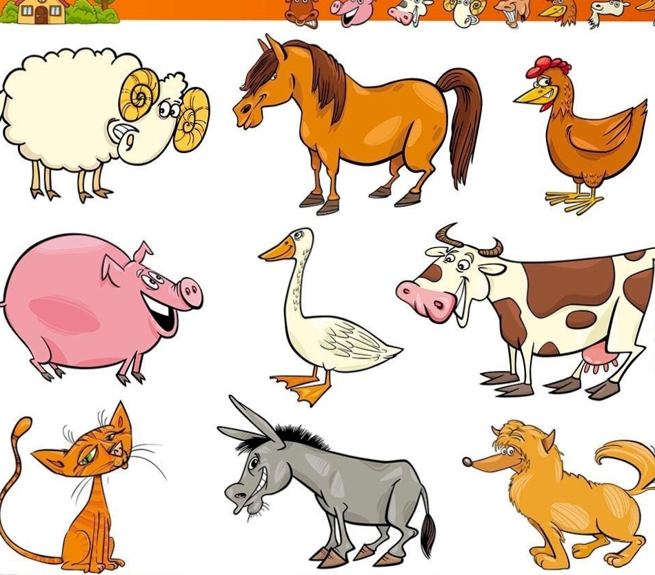 问 ：活体动物，哺乳动物可以航空空运吗？