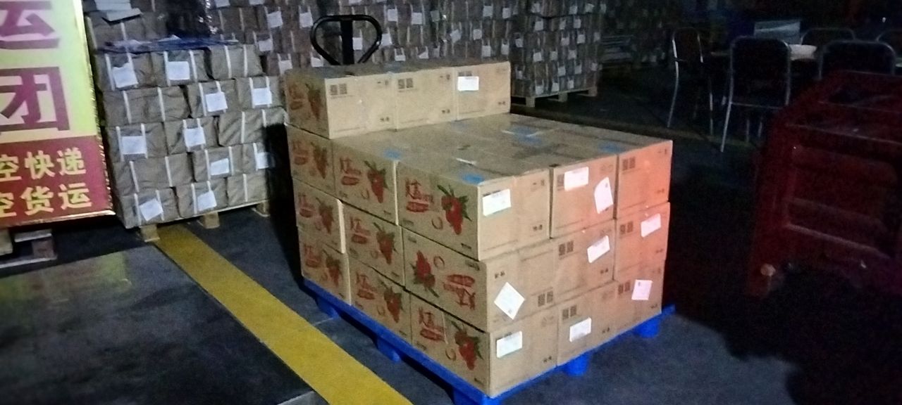 双流机场今日达航空急件托运-航空快递-航空物流