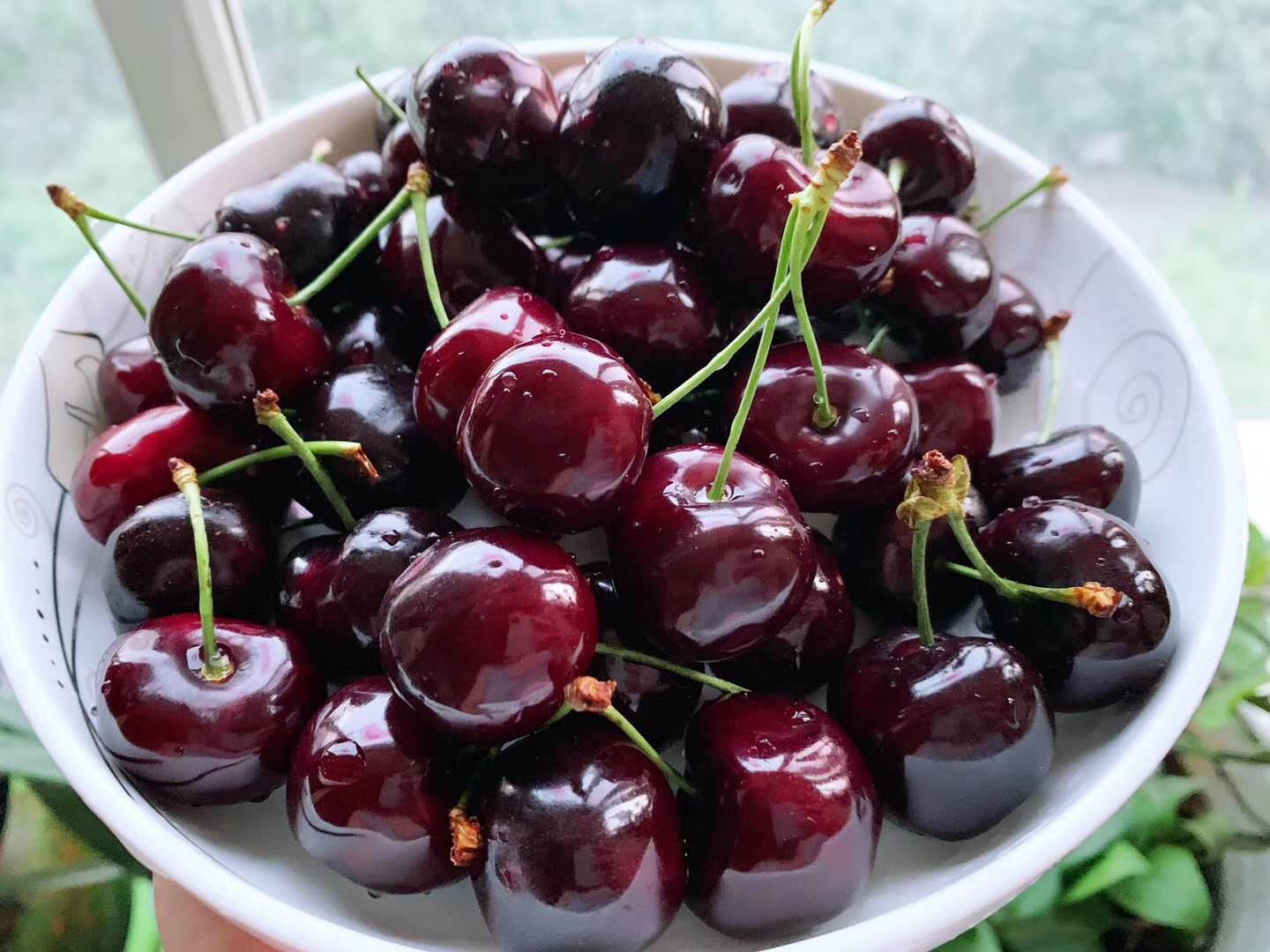 水果空运 樱桃空运 车厘子空运